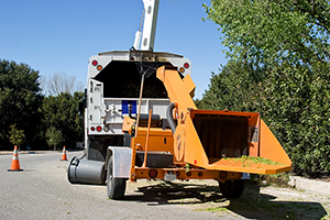 OSHA Releases Tree Care Worker Safety Resource OSHA Releases Tree Care Worker Safety Resource